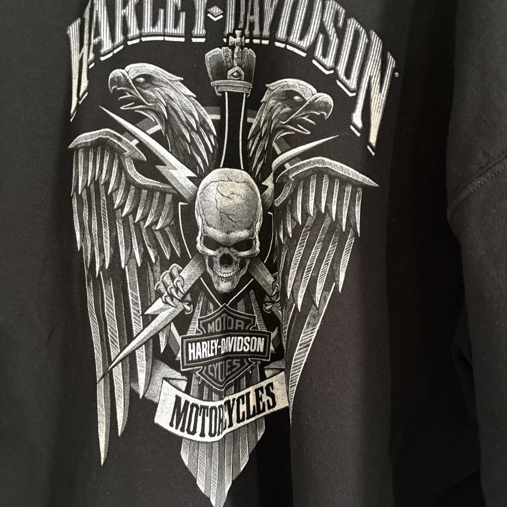 Harley-Davidson Men's Lightning Crest Pullover Hooded Sweatshirt - Picture 10 of 10